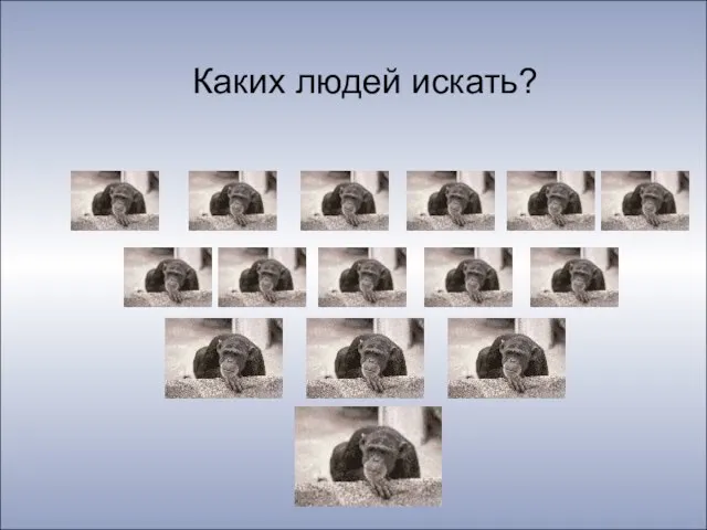 Каких людей искать?