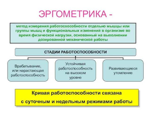 ЭРГОМЕТРИКА - метод измерения работоспособности отдельно мышцы или группы мышц и функциональных