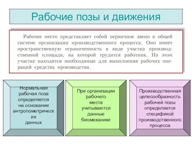 Рабочие позы и движения Нормальная рабочая поза определяется на основании антропометрических данных