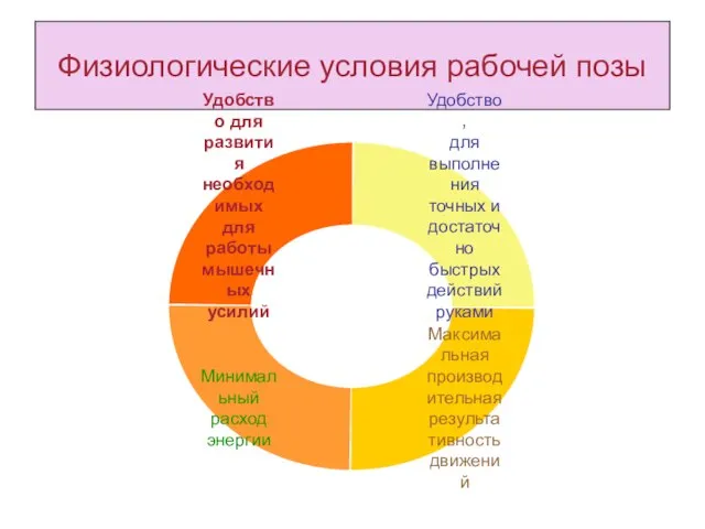 Физиологические условия рабочей позы