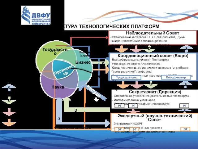 СТРУКТУРА ТЕХНОЛОГИЧЕСКИХ ПЛАТФОРМ