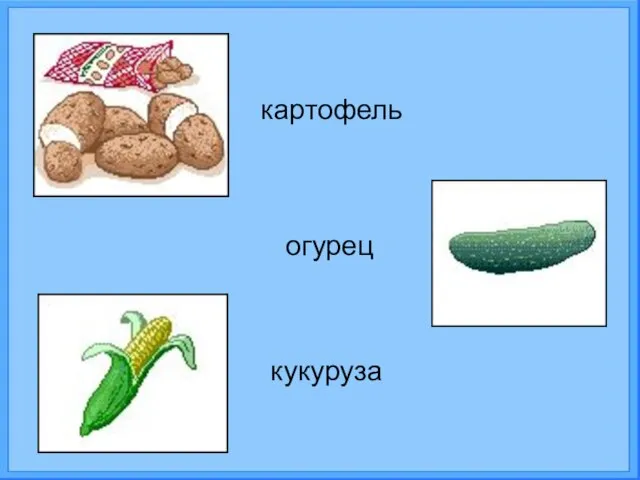 огурец картофель кукуруза