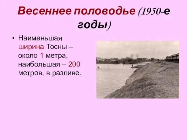 Весеннее половодье (1950-е годы) Наименьшая ширина Тосны – около 1 метра, наибольшая