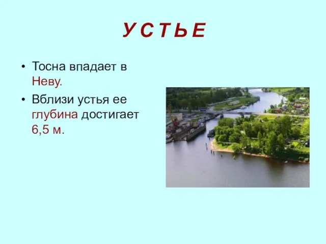 У С Т Ь Е Тосна впадает в Неву. Вблизи устья ее глубина достигает 6,5 м.