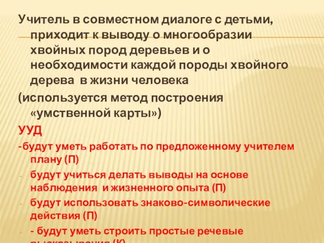 Учитель в совместном диалоге с детьми, приходит к выводу о многообразии хвойных