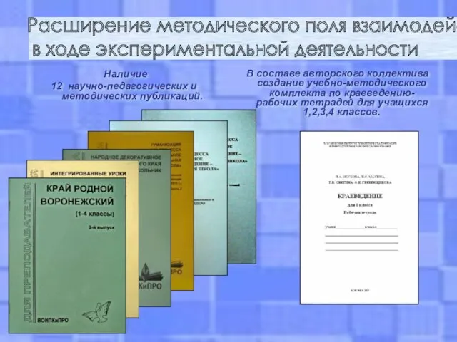 Наличие 12 научно-педагогических и методических публикаций. В составе авторского коллектива создание учебно-методического