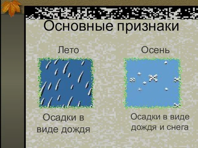 Основные признаки Лето Осень Осадки в виде дождя Осадки в виде дождя и снега