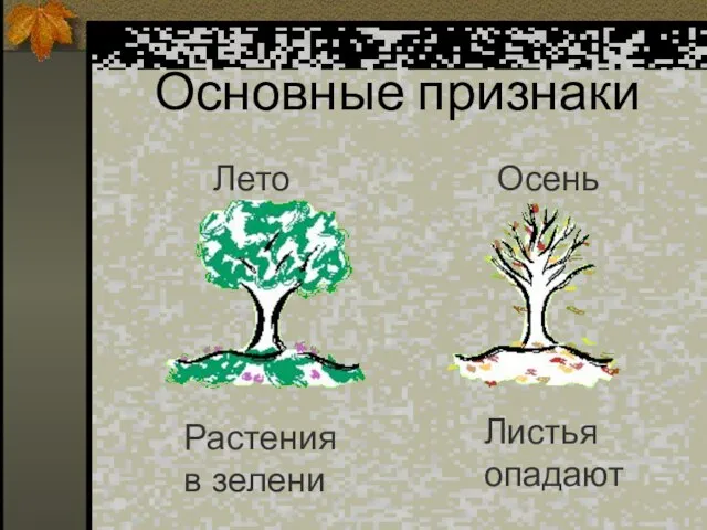 Основные признаки Лето Осень Растения в зелени Листья опадают