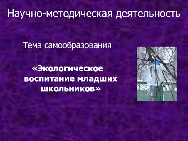 Научно-методическая деятельность Тема самообразования «Экологическое воспитание младших школьников»