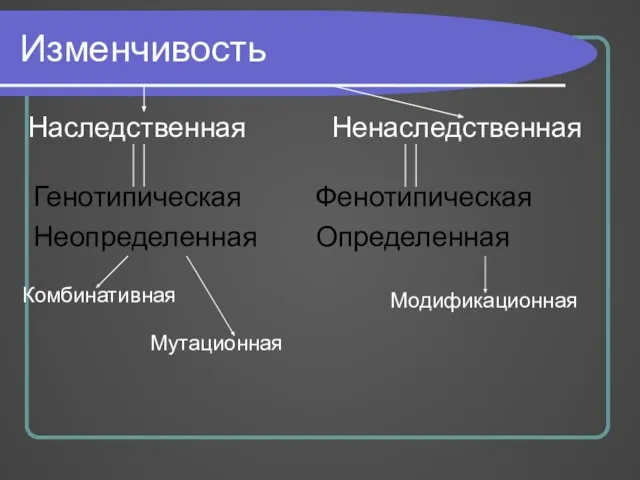 Изменчивость Наследственная Ненаследственная Генотипическая Неопределенная Фенотипическая Определенная Комбинативная Мутационная Модификационная