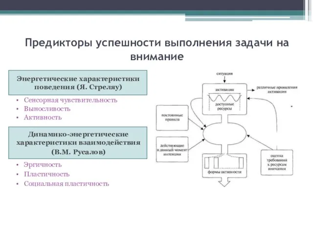 Предикторы успешности выполнения задачи на внимание Динамико-энергетические характеристики взаимодействия (В.М. Русалов) Энергетические