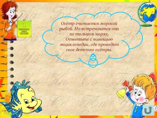 Осётр считается морской рыбой. Но встречаются они не только в морях. Ответьте