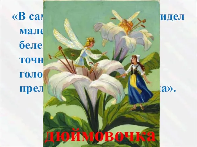 «В самой чашечке цветка сидел маленький человечек, беленький и прозрачный, точно хрустальный.