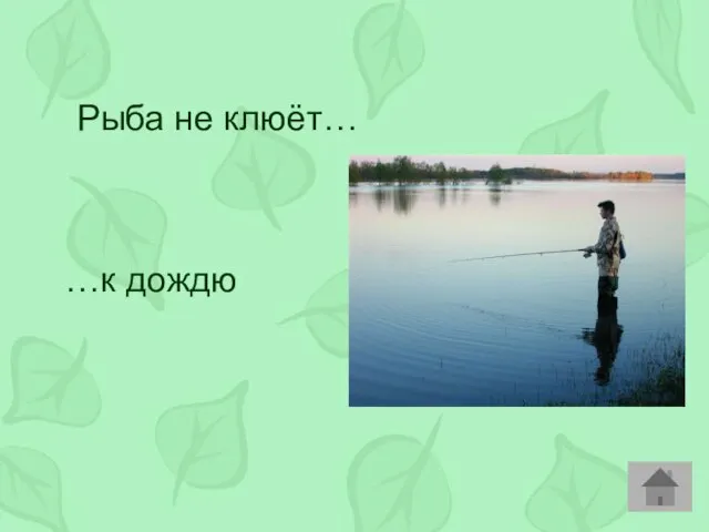 Рыба не клюёт… …к дождю