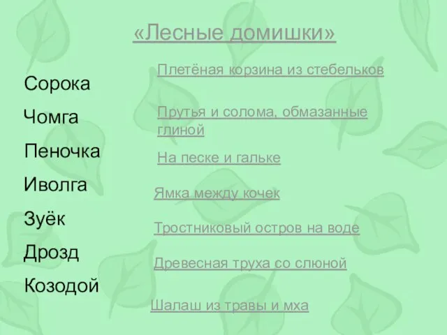 «Лесные домишки» Сорока Чомга Пеночка Иволга Зуёк Дрозд Козодой Плетёная корзина из