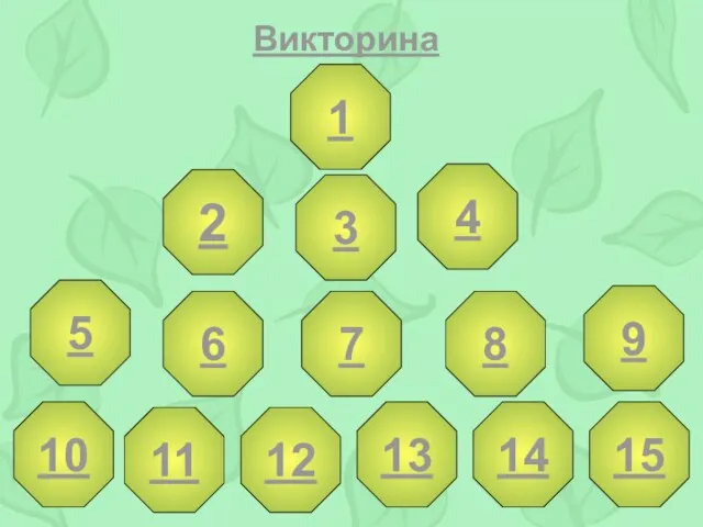 Викторина 1 2 3 4 5 6 7 8 9 10 12 13 14 15 11