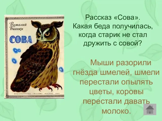 Рассказ «Сова». Какая беда получилась, когда старик не стал дружить с совой?