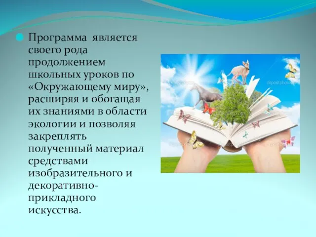 Программа является своего рода продолжением школьных уроков по «Окружающему миру», расширяя и