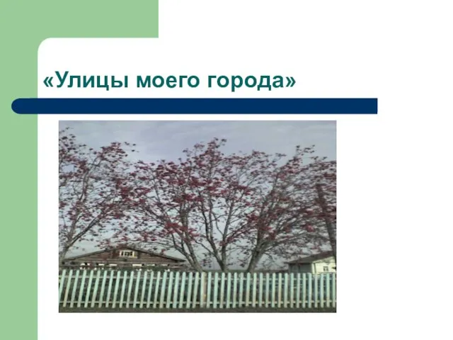 «Улицы моего города»