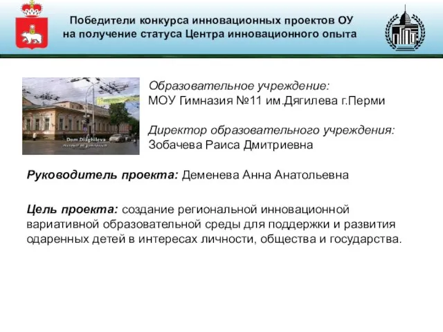 Руководитель проекта: Деменева Анна Анатольевна Цель проекта: создание региональной инновационной вариативной образовательной