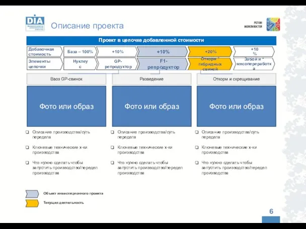 Описание проекта Проект в цепочке добавленной стоимости Забой и * мясопереработка Откорм