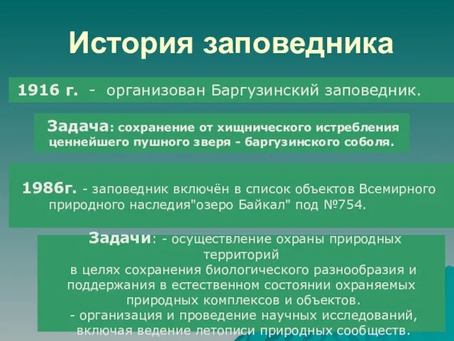 История заповедника 1916 г. - организован Баргузинский заповедник. Задача: сохранение от хищнического