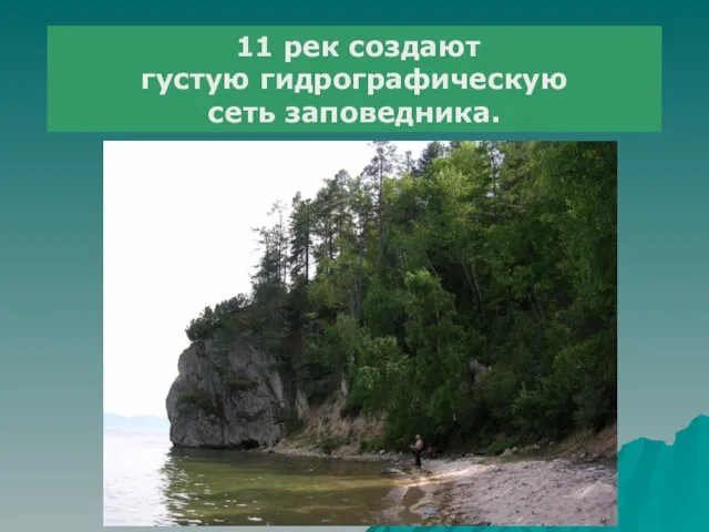 11 рек создают густую гидрографическую сеть заповедника.