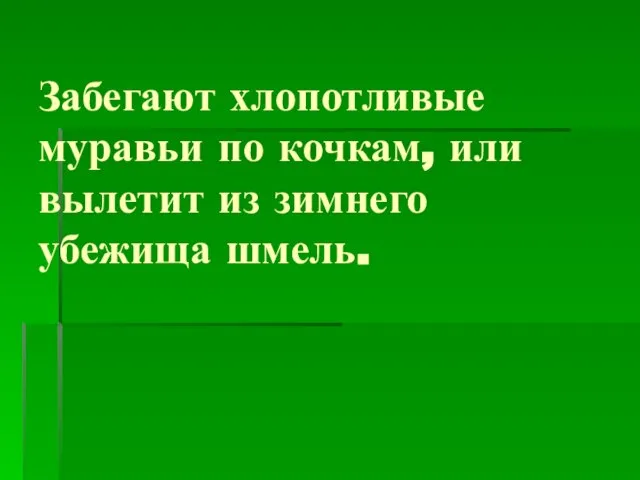 Забегают хлопотливые муравьи по кочкам, или вылетит из зимнего убежища шмель.