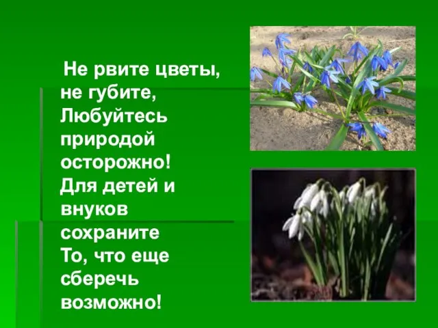 Не рвите цветы, не губите, Любуйтесь природой осторожно! Для детей и внуков