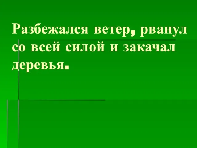 Разбежался ветер, рванул со всей силой и закачал деревья.