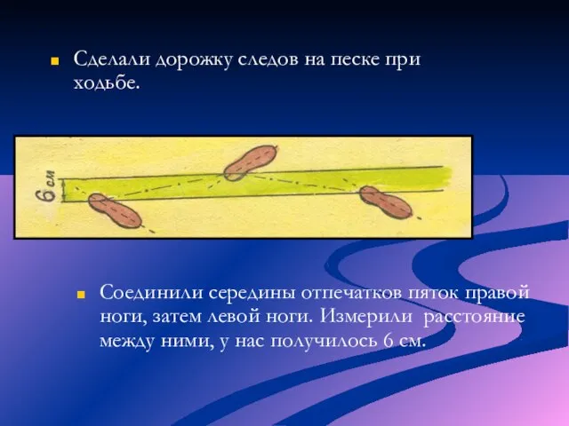 Сделали дорожку следов на песке при ходьбе. Соединили середины отпечатков пяток правой