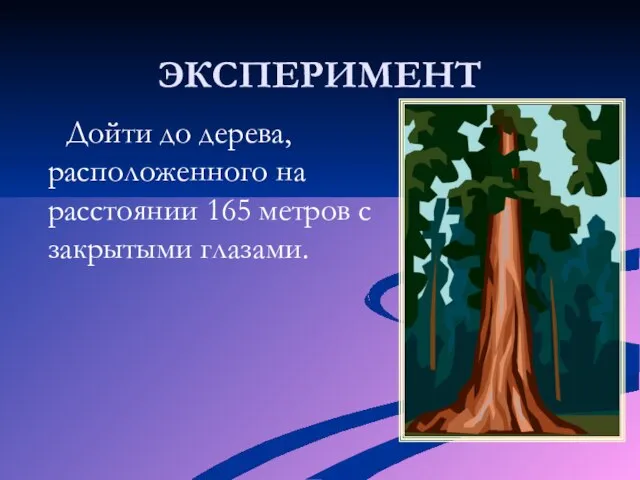 ЭКСПЕРИМЕНТ Дойти до дерева, расположенного на расстоянии 165 метров с закрытыми глазами.