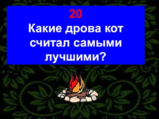 20 Какие дрова кот считал самыми лучшими?