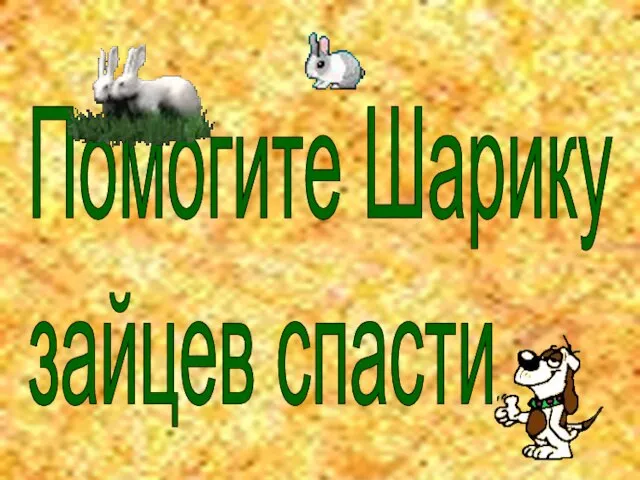 Помогите Шарику зайцев спасти