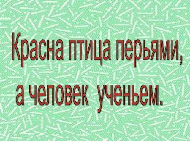 Красна птица перьями, а человек ученьем.