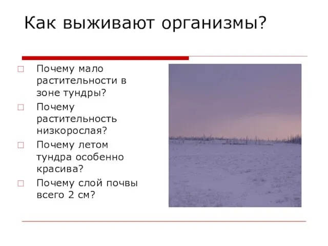 Как выживают организмы? Почему мало растительности в зоне тундры? Почему растительность низкорослая?