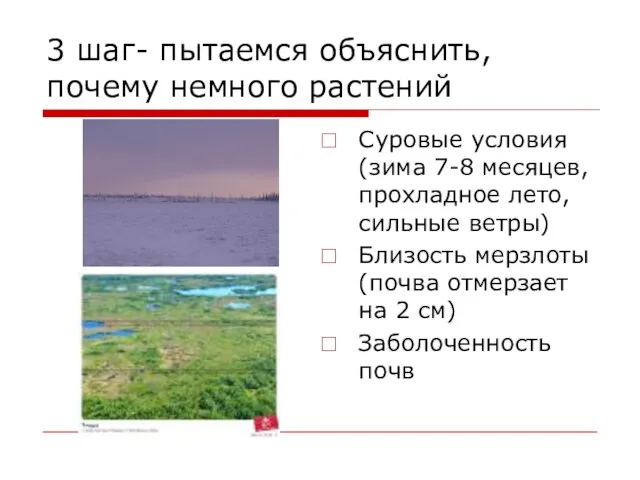 3 шаг- пытаемся объяснить, почему немного растений Суровые условия (зима 7-8 месяцев,