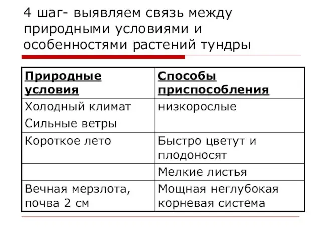 4 шаг- выявляем связь между природными условиями и особенностями растений тундры