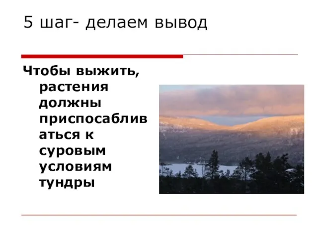 5 шаг- делаем вывод Чтобы выжить, растения должны приспосабливаться к суровым условиям тундры