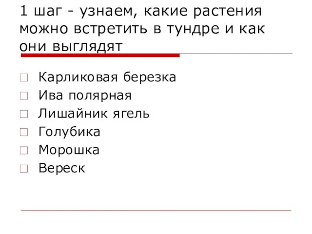 1 шаг - узнаем, какие растения можно встретить в тундре и как