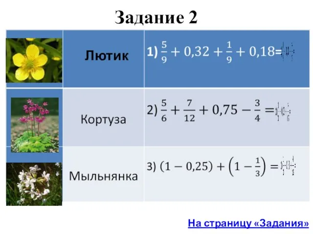 Задание 2 Лютик На страницу «Задания»