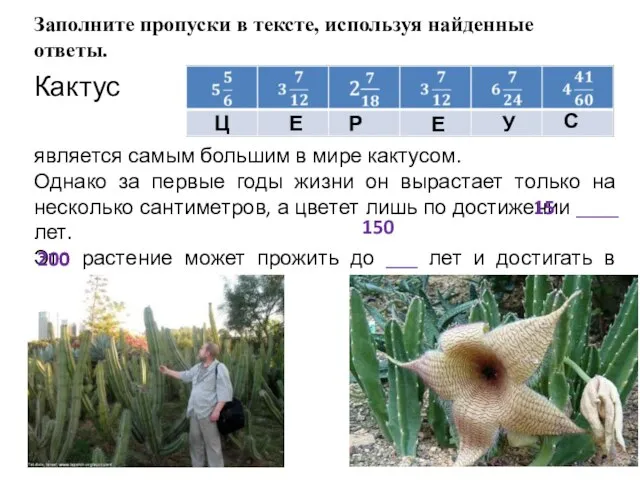 Заполните пропуски в тексте, используя найденные ответы. Кактус является самым большим в