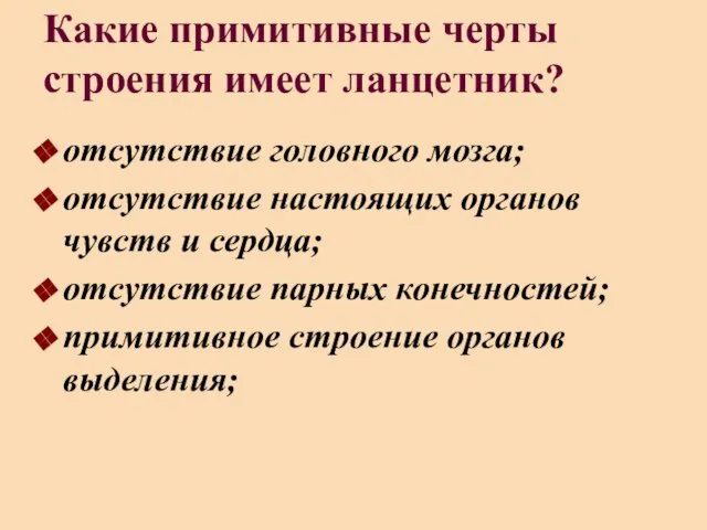 Какие примитивные черты строения имеет ланцетник? отсутствие головного мозга; отсутствие настоящих органов