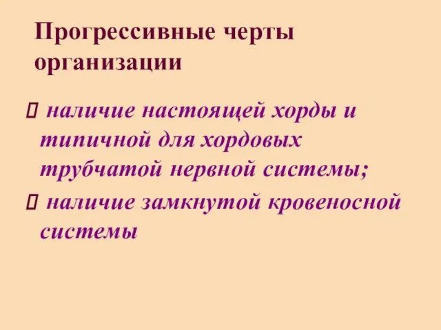 Прогрессивные черты организации наличие настоящей хорды и типичной для хордовых трубчатой нервной