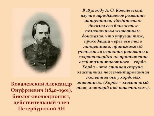 Ковалевский Александр Онуфриевич (1840–1901), биолог-эволюционист, действительный член Петербургской АН В 1834 году