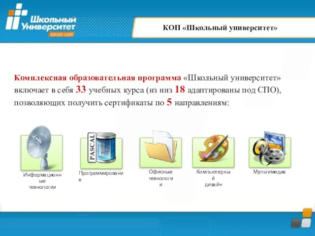 Комплексная образовательная программа «Школьный университет» включает в себя 33 учебных курса (из