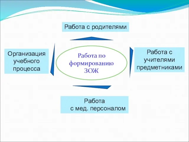 Работа по формированию ЗОЖ Организация учебного процесса Работа с мед. персоналом Работа