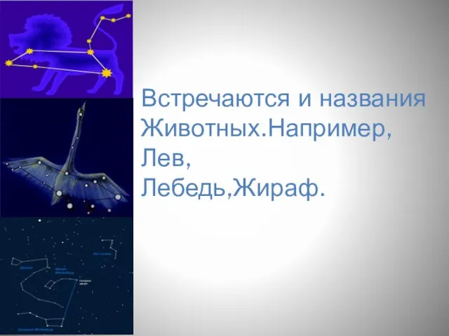 Встречаются и названия Животных.Например,Лев, Лебедь,Жираф.