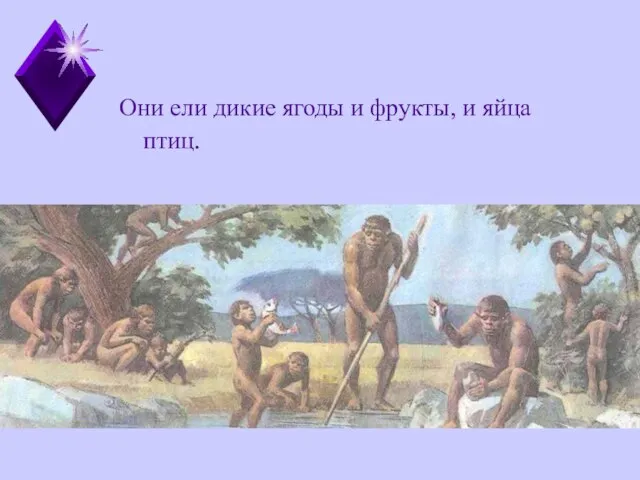 Они ели дикие ягоды и фрукты, и яйца птиц.