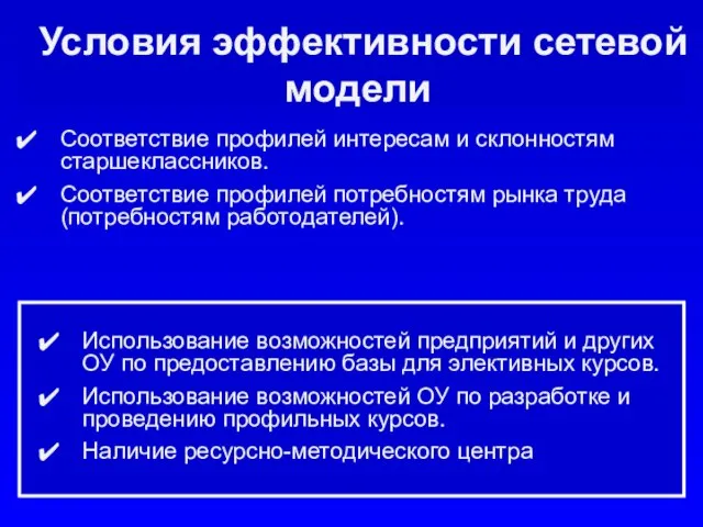 Условия эффективности сетевой модели Соответствие профилей интересам и склонностям старшеклассников. Соответствие профилей